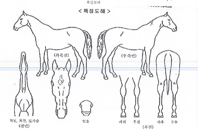 ���ڷ������� ����,���,�޸�,�λ�,�ٸ��� Ư¡����