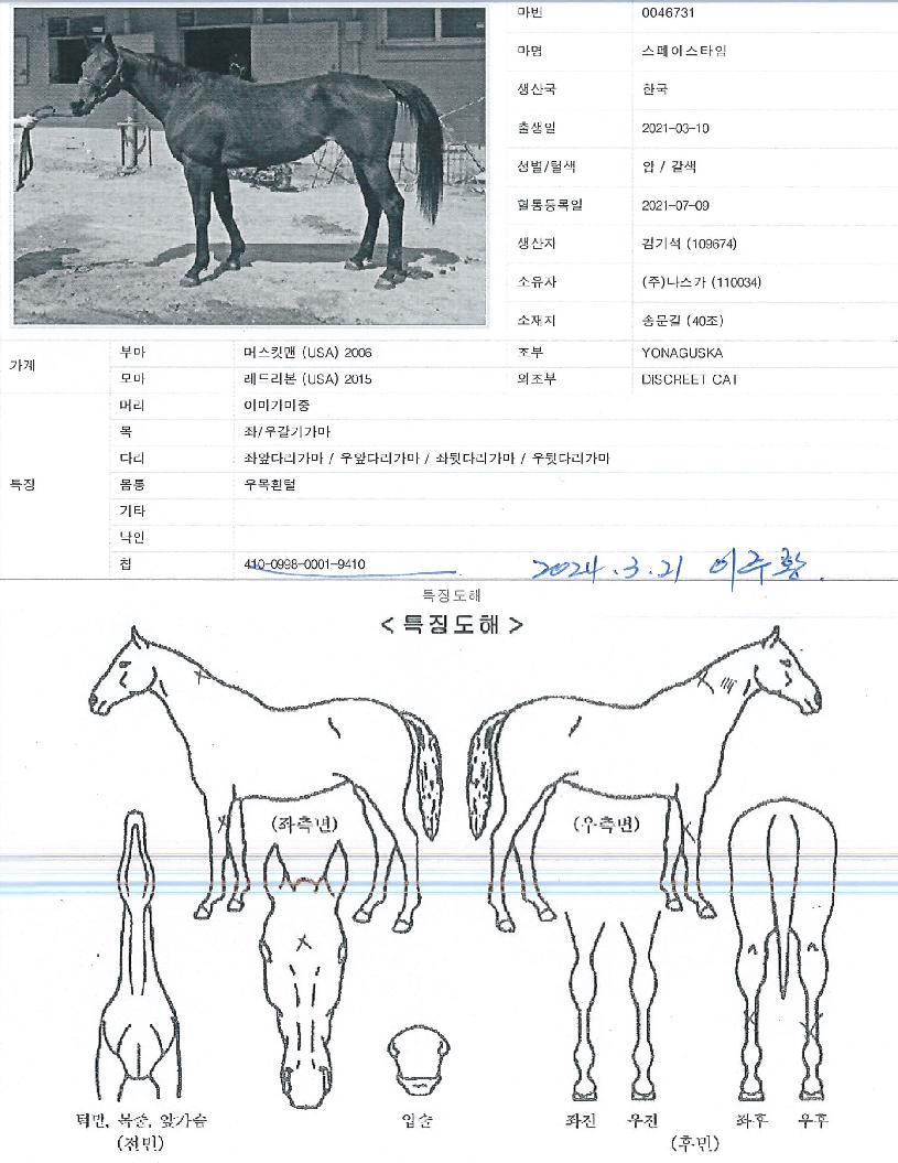 ½ºÆäÀ̽ºÅ¸ÀÓÀÇ Ãø¸é,¿ì¸é,µÞ¸é,µÎ»ó,´Ù¸®ÀÇ Æ¯Â¡µµÇØ