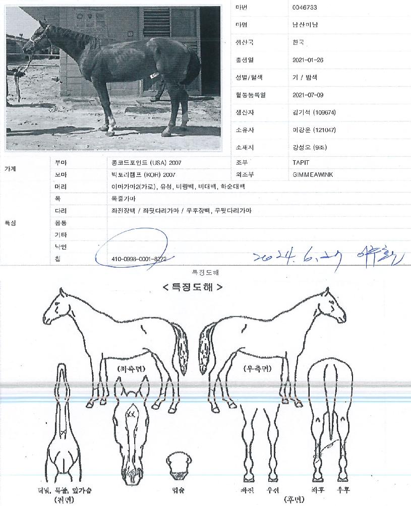 ����̳��� ����,���,�޸�,�λ�,�ٸ��� Ư¡����