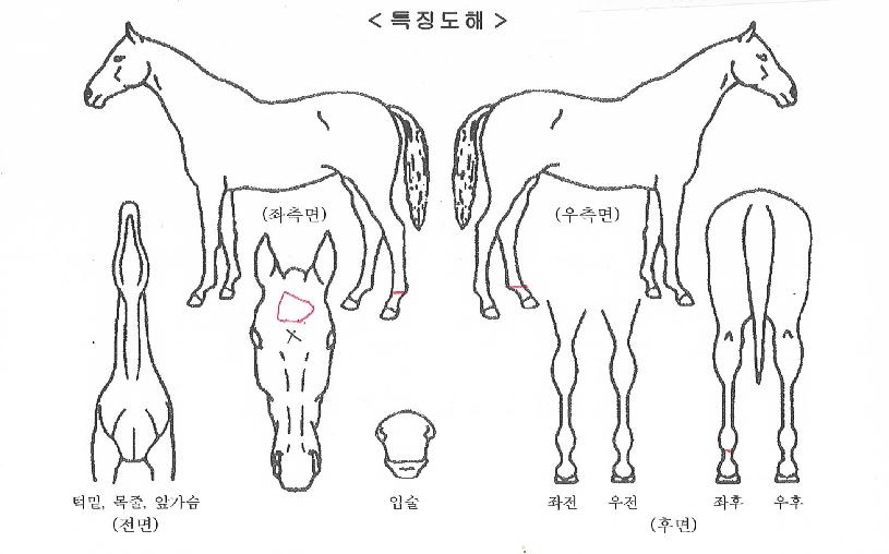 ������ ����,���,�޸�,�λ�,�ٸ��� Ư¡����