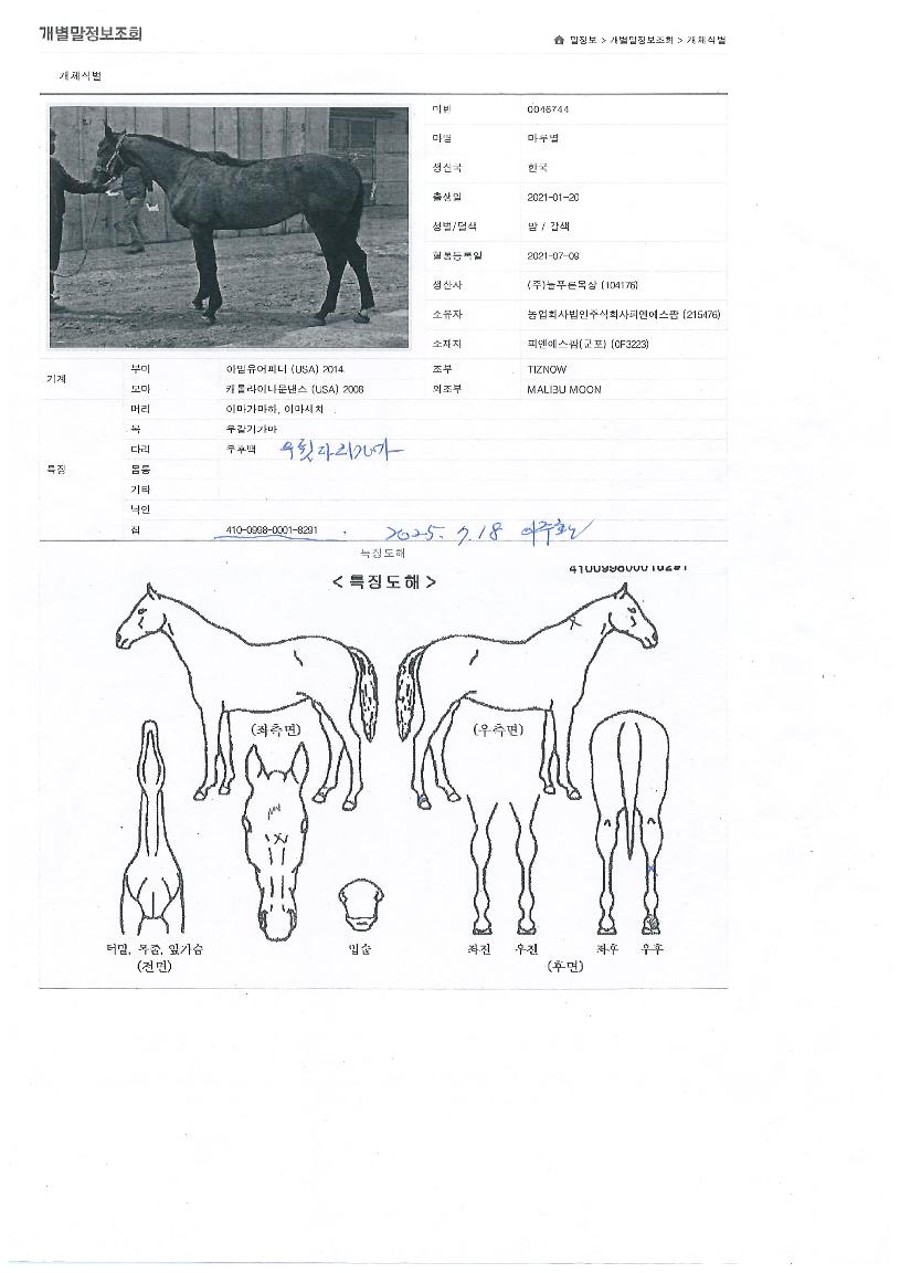 ���纰�� ����,���,�޸�,�λ�,�ٸ��� Ư¡����