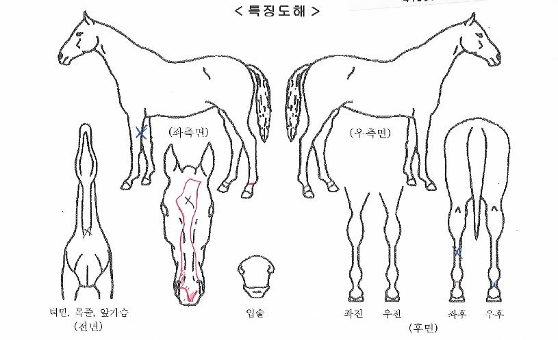 ��½��������� ����,���,�޸�,�λ�,�ٸ��� Ư¡����