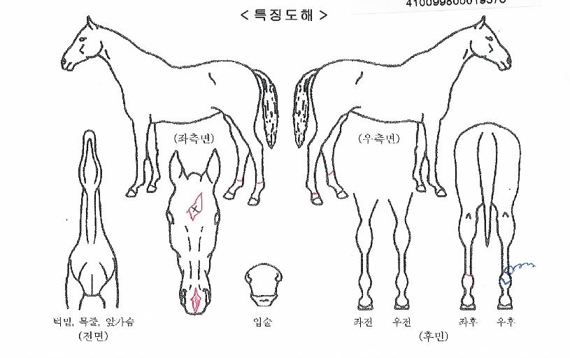 �Ѱ��־��� ����,���,�޸�,�λ�,�ٸ��� Ư¡����