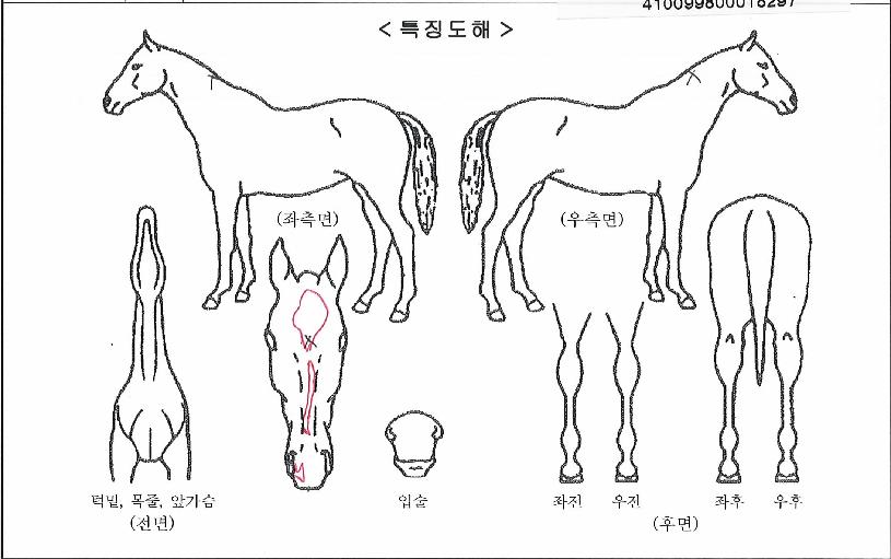 ������������� ����,���,�޸�,�λ�,�ٸ��� Ư¡����