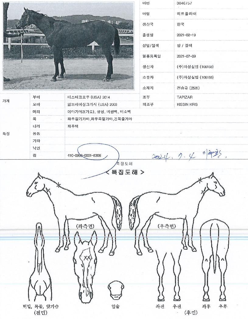 ��Ʈ�ö����� ����,���,�޸�,�λ�,�ٸ��� Ư¡����