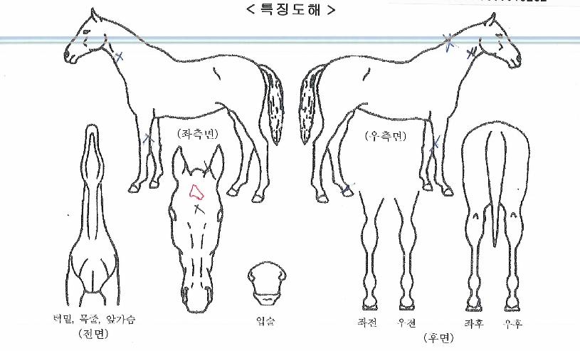 ������� ����,���,�޸�,�λ�,�ٸ��� Ư¡����