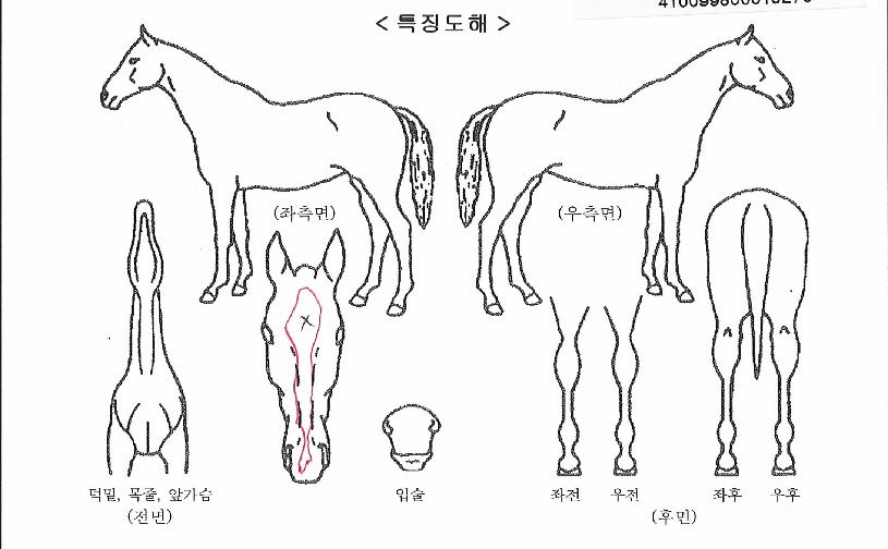 ������������ ����,���,�޸�,�λ�,�ٸ��� Ư¡����