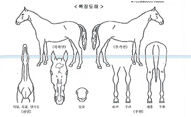 �ʸ������ؼ��� ����,���,�޸�,�λ�,�ٸ��� Ư¡����