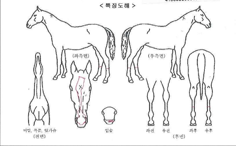 ������������ ����,���,�޸�,�λ�,�ٸ��� Ư¡����