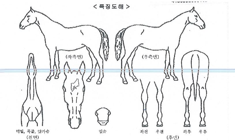 ȭ���ȯ�� ����,���,�޸�,�λ�,�ٸ��� Ư¡����