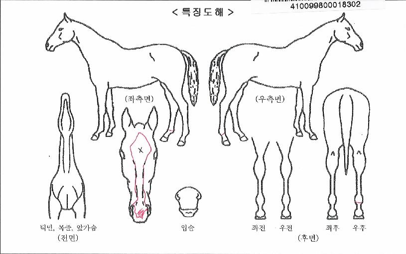 ÆÇŸ½ºÆ½ÈÞ¸ÓÀÇ Ãø¸é,¿ì¸é,µÞ¸é,µÎ»ó,´Ù¸®ÀÇ Æ¯Â¡µµÇØ