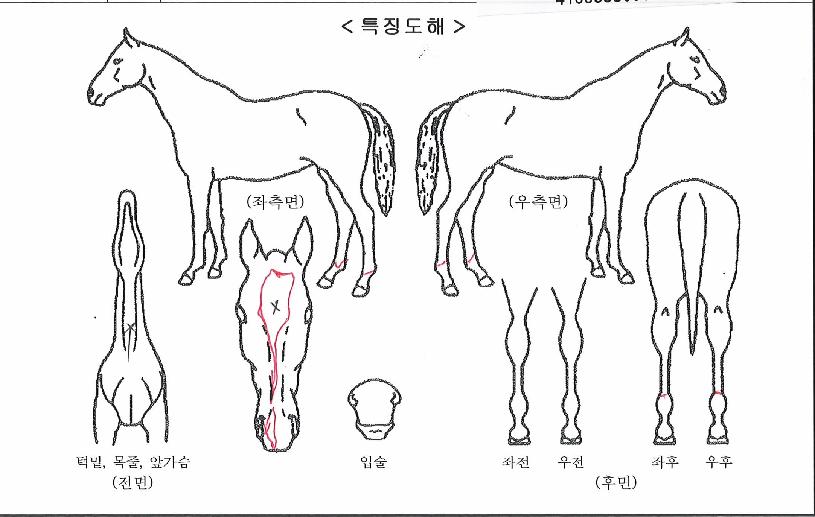 ���ī�캸���� ����,���,�޸�,�λ�,�ٸ��� Ư¡����