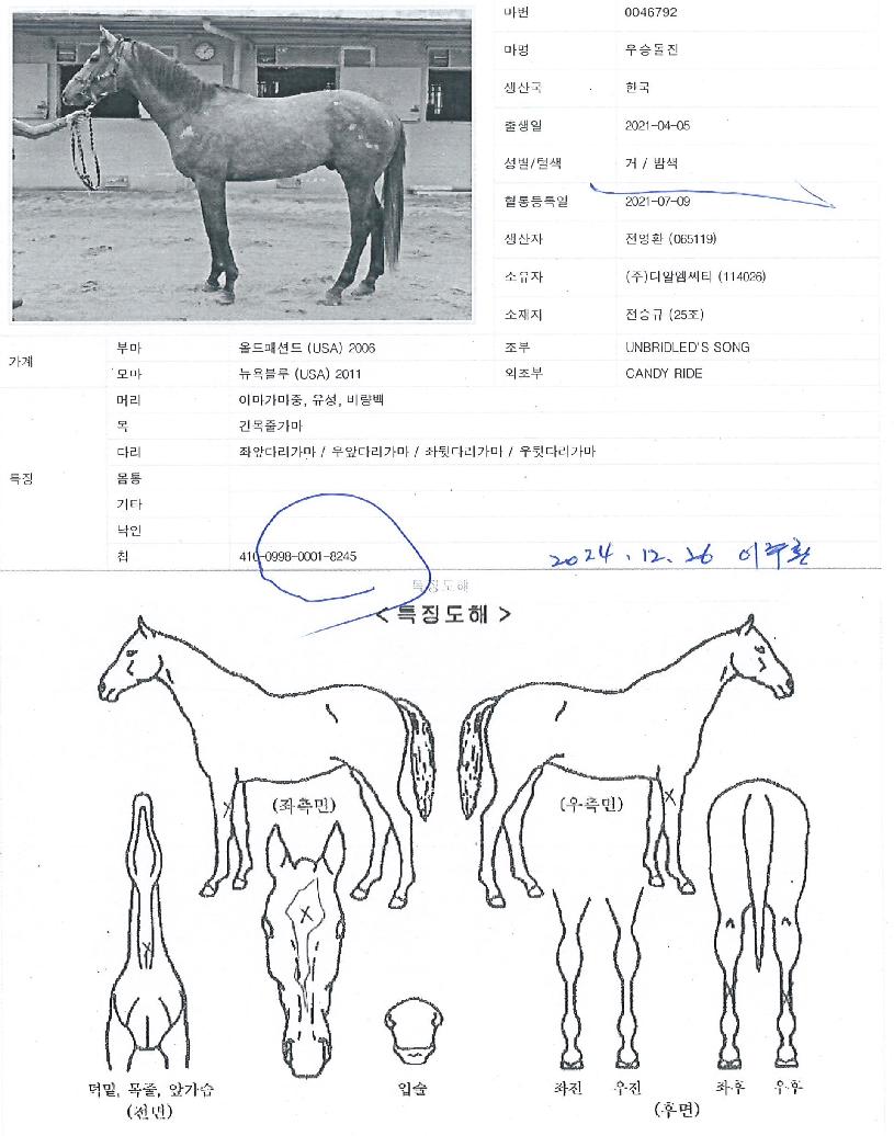 ¿ì½Âµ¹ÁøÀÇ Ãø¸é,¿ì¸é,µÞ¸é,µÎ»ó,´Ù¸®ÀÇ Æ¯Â¡µµÇØ