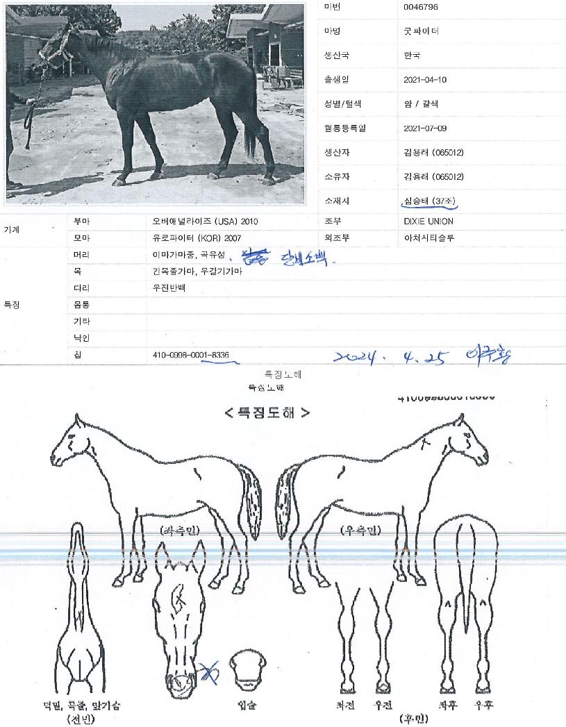 ±ÂÆÄÀÌÅÍÀÇ Ãø¸é,¿ì¸é,µÞ¸é,µÎ»ó,´Ù¸®ÀÇ Æ¯Â¡µµÇØ