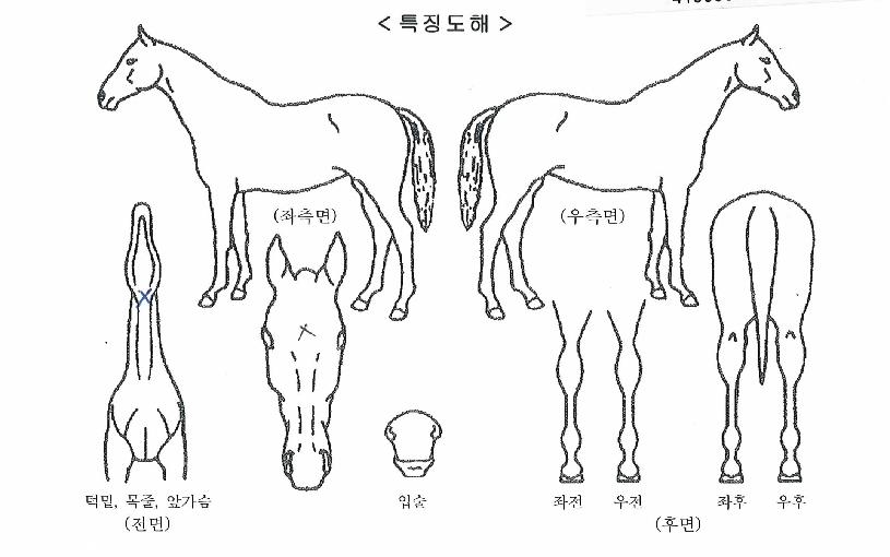 �Ŀ�Ʈ������ ����,���,�޸�,�λ�,�ٸ��� Ư¡����