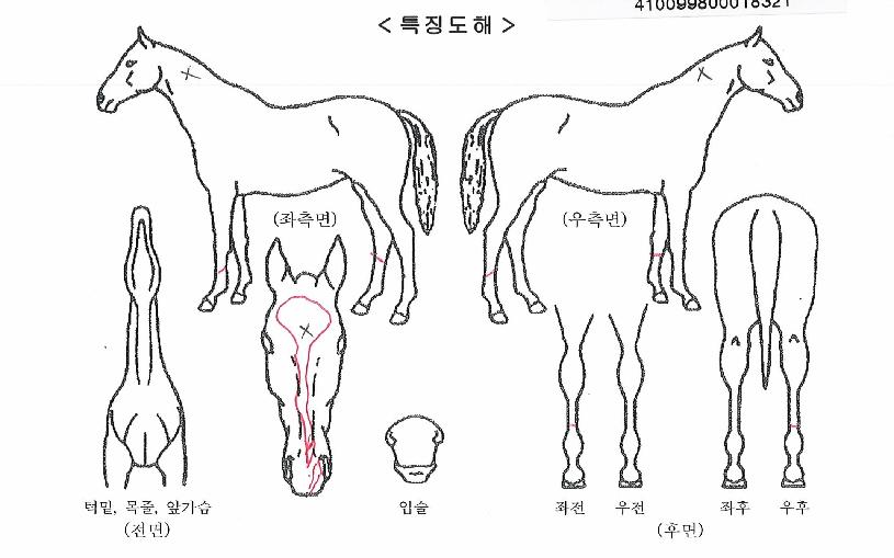 ������� ����,���,�޸�,�λ�,�ٸ��� Ư¡����