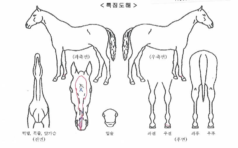 �Ļ����� ����,���,�޸�,�λ�,�ٸ��� Ư¡����