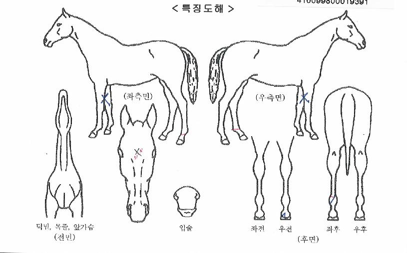 ���۽�Ÿ�� ����,���,�޸�,�λ�,�ٸ��� Ư¡����