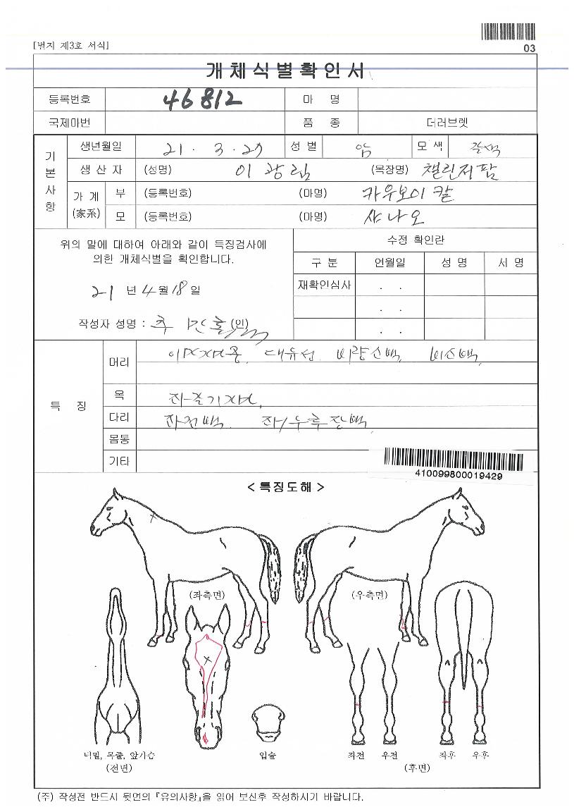 ÇöóÀ׺£À̺ñÀÇ Ãø¸é,¿ì¸é,µÞ¸é,µÎ»ó,´Ù¸®ÀÇ Æ¯Â¡µµÇØ