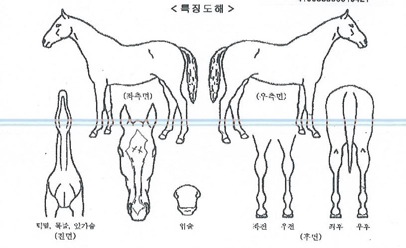 ���������� ����,���,�޸�,�λ�,�ٸ��� Ư¡����