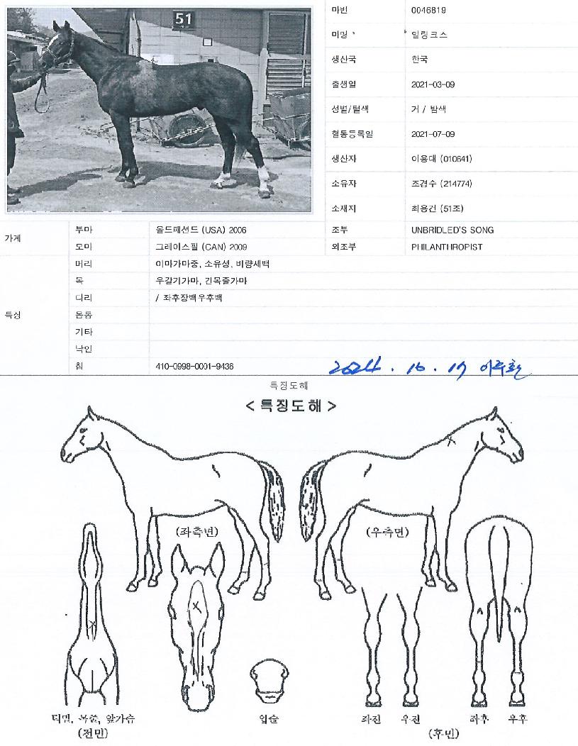 ÀϸµÅ©½ºÀÇ Ãø¸é,¿ì¸é,µÞ¸é,µÎ»ó,´Ù¸®ÀÇ Æ¯Â¡µµÇØ