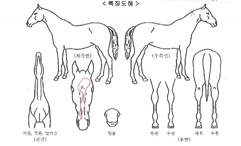 ���ǿ����� ����,���,�޸�,�λ�,�ٸ��� Ư¡����