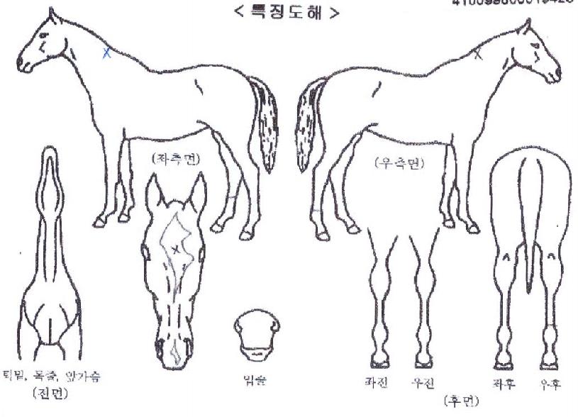 Ǫ�������� ����,���,�޸�,�λ�,�ٸ��� Ư¡����