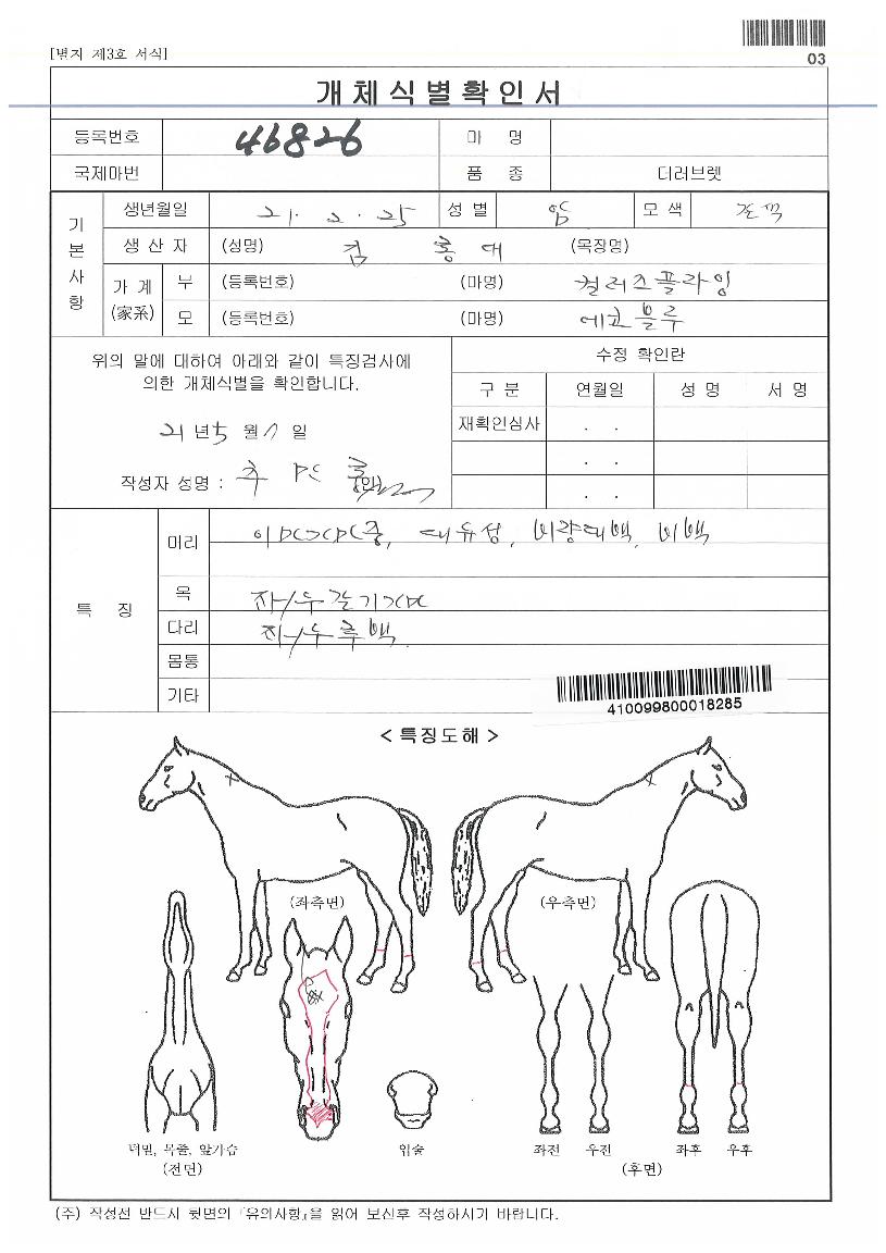 ¿¡ÄÚºí·çÀÚ¸¶ÀÇ Ãø¸é,¿ì¸é,µÞ¸é,µÎ»ó,´Ù¸®ÀÇ Æ¯Â¡µµÇØ