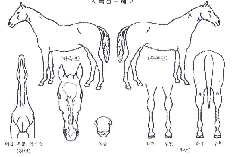 ���κ���ε��� ����,���,�޸�,�λ�,�ٸ��� Ư¡����