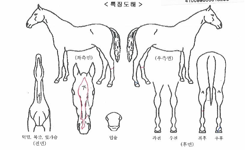 �̶�Ŭ�Ѱ��� ����,���,�޸�,�λ�,�ٸ��� Ư¡����