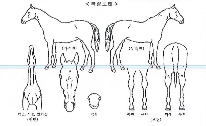 ����ȷ���� ����,���,�޸�,�λ�,�ٸ��� Ư¡����