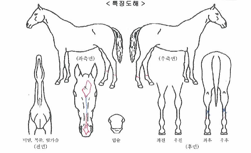 ���������� ����,���,�޸�,�λ�,�ٸ��� Ư¡����