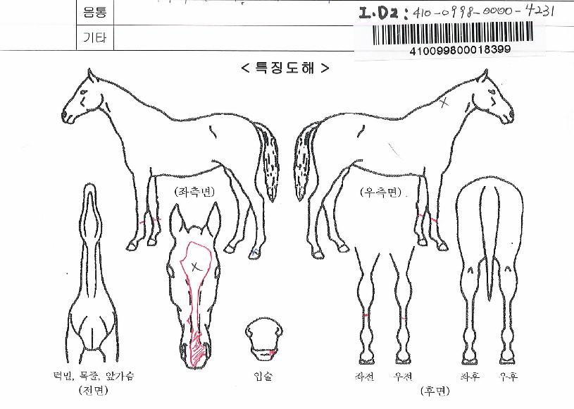 Æ®¸®Çõ帲ÀÇ Ãø¸é,¿ì¸é,µÞ¸é,µÎ»ó,´Ù¸®ÀÇ Æ¯Â¡µµÇØ