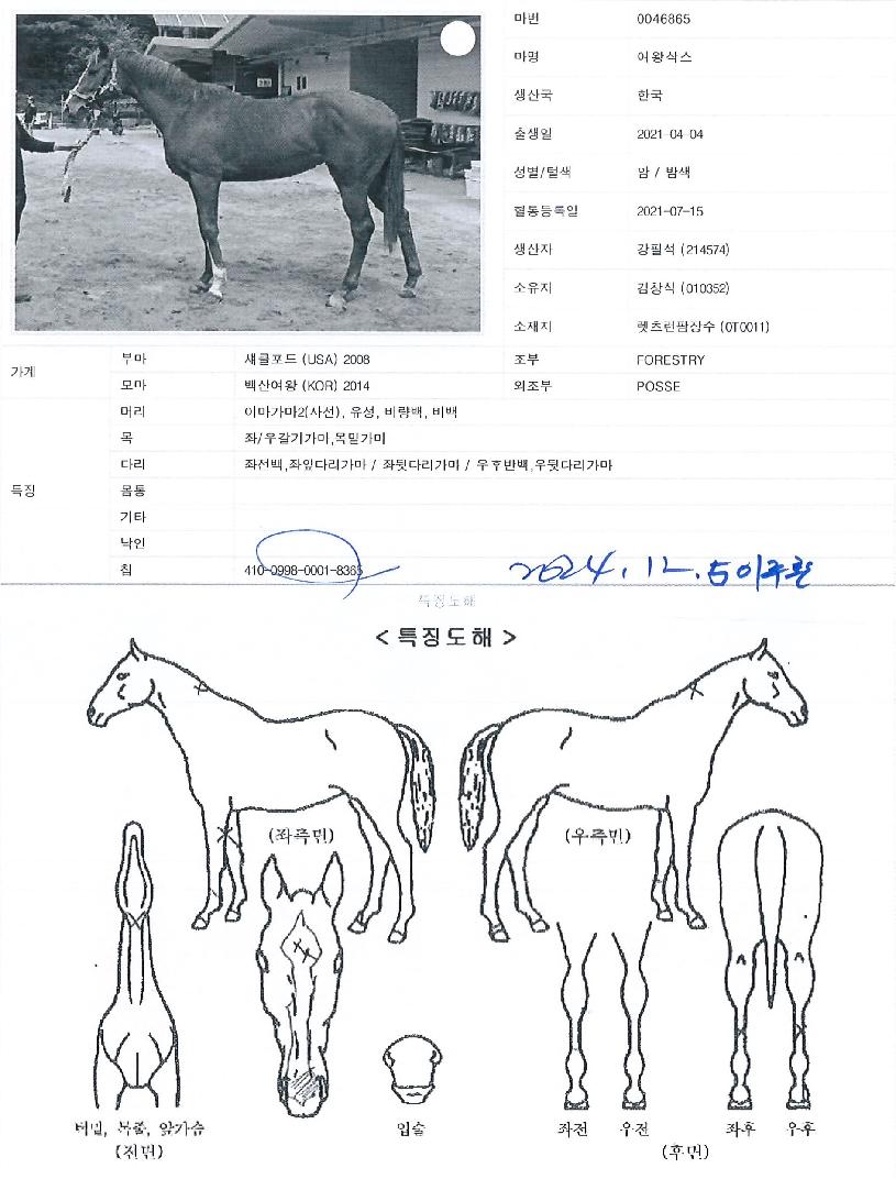 ¿©¿Õ»è½ºÀÇ Ãø¸é,¿ì¸é,µÞ¸é,µÎ»ó,´Ù¸®ÀÇ Æ¯Â¡µµÇØ