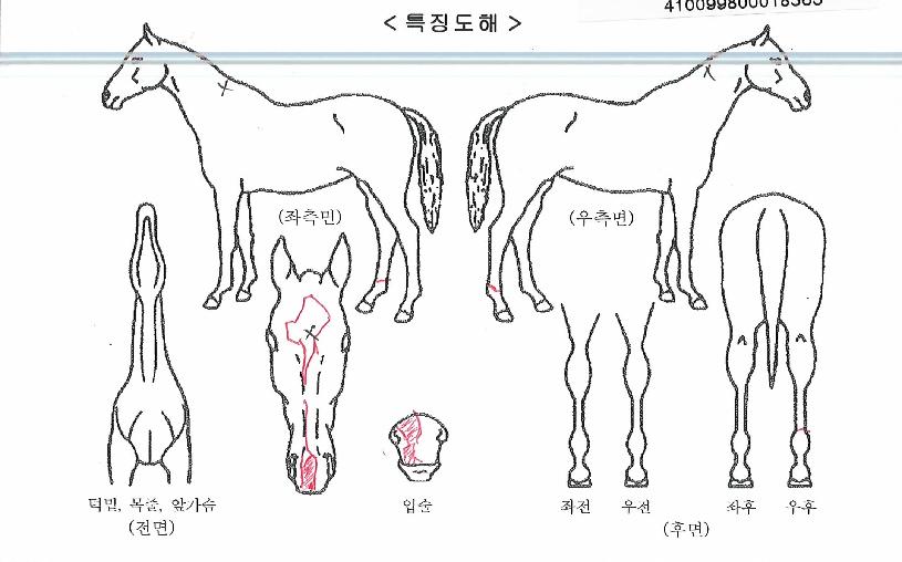 �ʰ������� ����,���,�޸�,�λ�,�ٸ��� Ư¡����