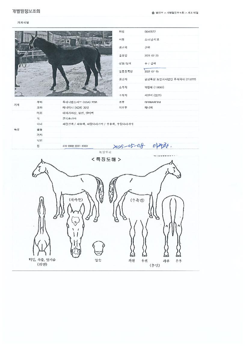 ½ºÅÍ´×¼ºêÀÇ Ãø¸é,¿ì¸é,µÞ¸é,µÎ»ó,´Ù¸®ÀÇ Æ¯Â¡µµÇØ