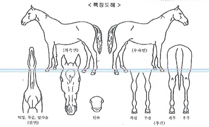 �����ô��� ����,���,�޸�,�λ�,�ٸ��� Ư¡����