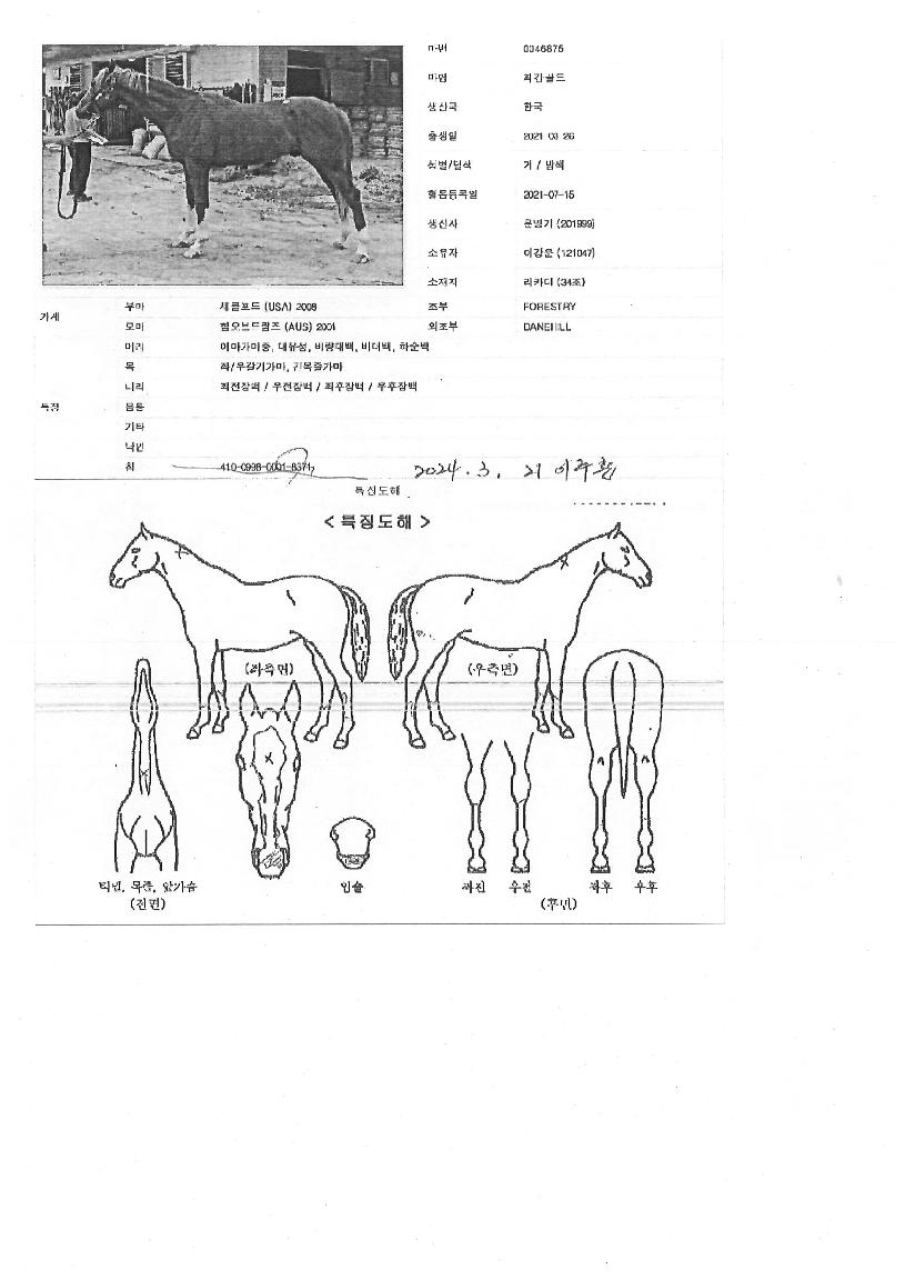 �ְ������ ����,���,�޸�,�λ�,�ٸ��� Ư¡����