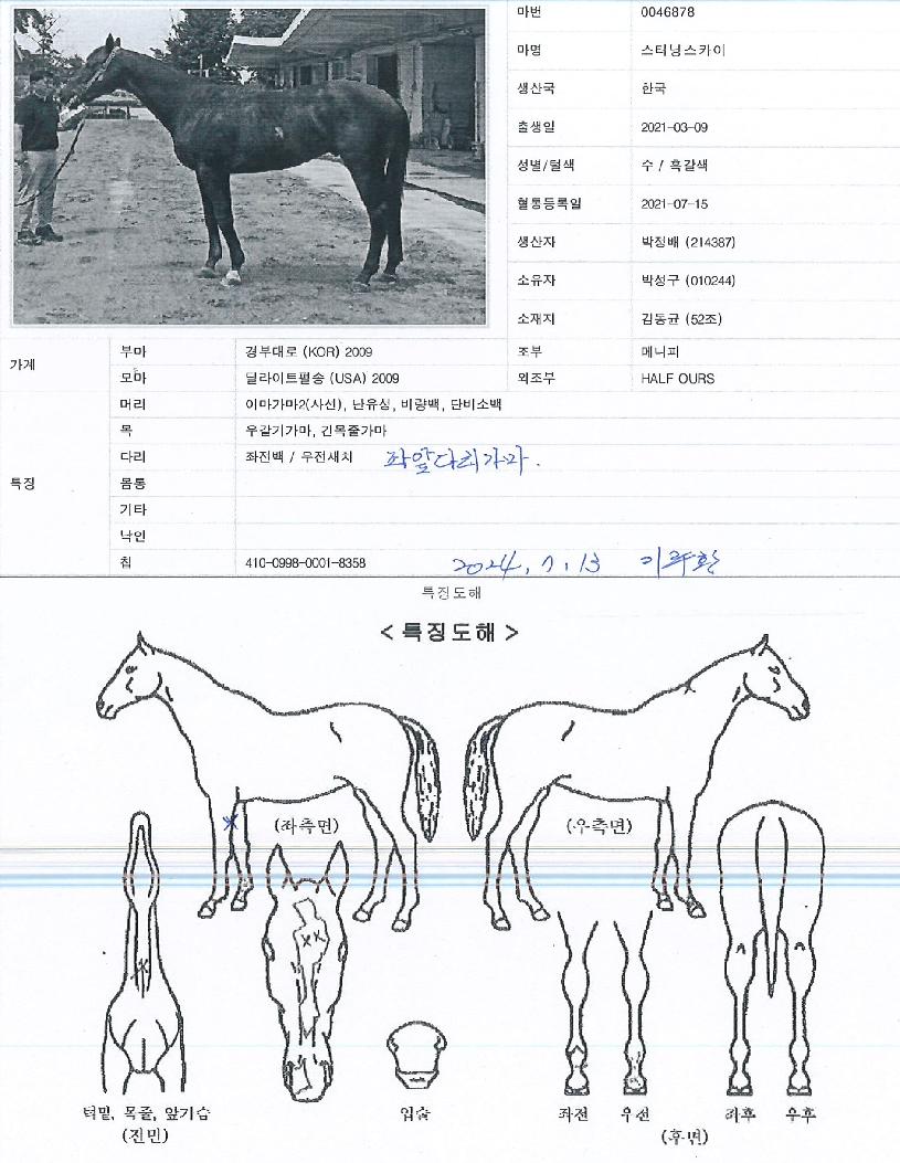 ���ʹ׽�ī���� ����,���,�޸�,�λ�,�ٸ��� Ư¡����