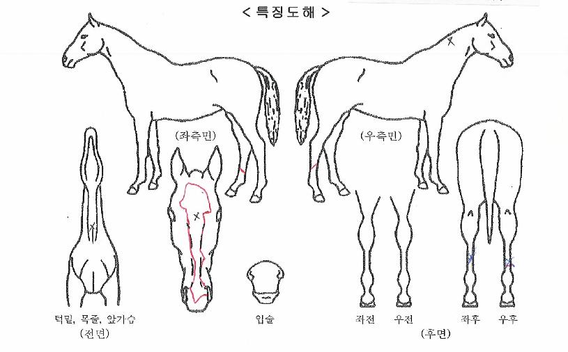 ���̼����� ����,���,�޸�,�λ�,�ٸ��� Ư¡����