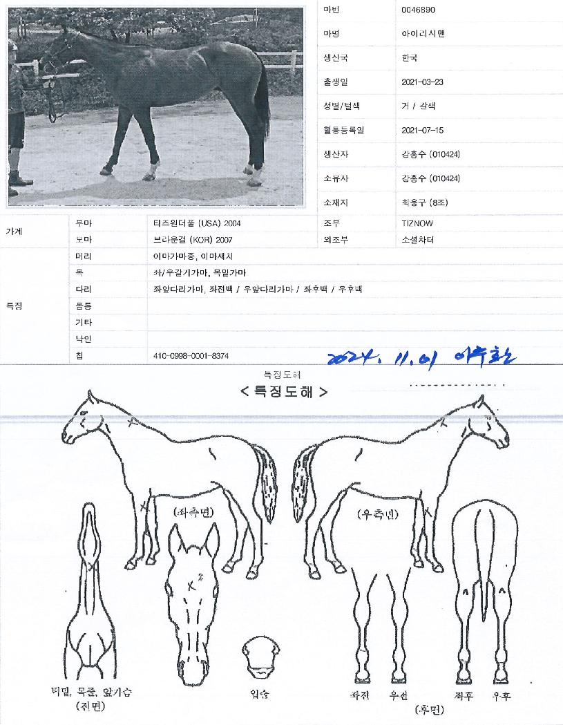 ¾ÆÀ̸®½Ã¸ÇÀÇ Ãø¸é,¿ì¸é,µÞ¸é,µÎ»ó,´Ù¸®ÀÇ Æ¯Â¡µµÇØ