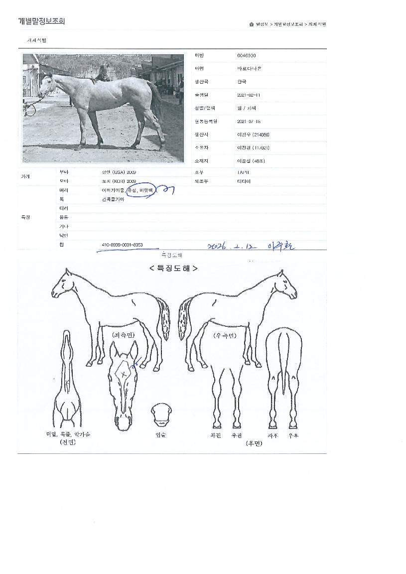 �ٷδٳ����� ����,���,�޸�,�λ�,�ٸ��� Ư¡����