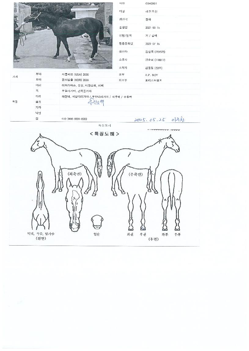 ·¹Àüµå¼±ÀÇ Ãø¸é,¿ì¸é,µÞ¸é,µÎ»ó,´Ù¸®ÀÇ Æ¯Â¡µµÇØ