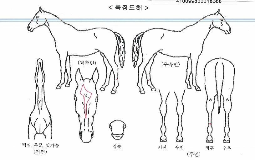 ������� ����,���,�޸�,�λ�,�ٸ��� Ư¡����