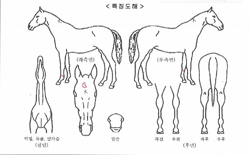 ���ӽ�Ÿ�� ����,���,�޸�,�λ�,�ٸ��� Ư¡����