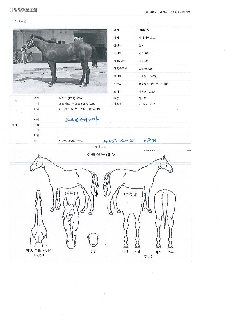 ���׾�Ƽ��Ʈ�� ����,���,�޸�,�λ�,�ٸ��� Ư¡����