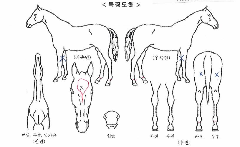 ��´��뼼�� ����,���,�޸�,�λ�,�ٸ��� Ư¡����