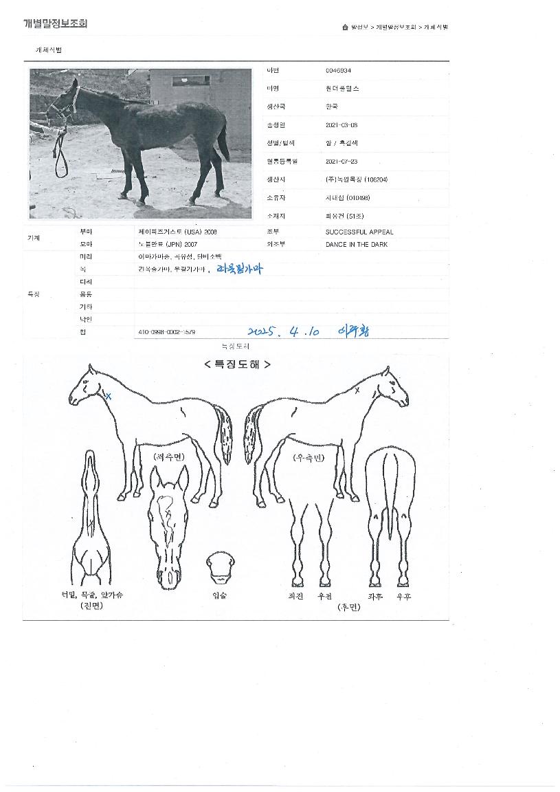 ¿ø´õÇ®À£½ºÀÇ Ãø¸é,¿ì¸é,µÞ¸é,µÎ»ó,´Ù¸®ÀÇ Æ¯Â¡µµÇØ