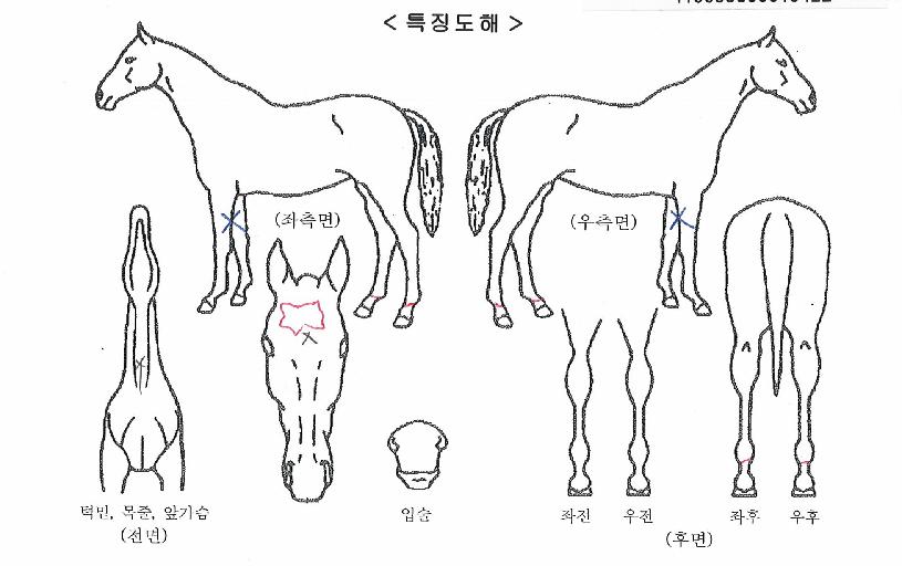���丮�ǹ��� ����,���,�޸�,�λ�,�ٸ��� Ư¡����