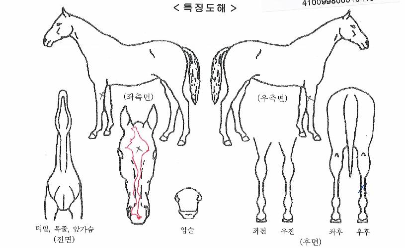 ��´�Ŭ������ ����,���,�޸�,�λ�,�ٸ��� Ư¡����